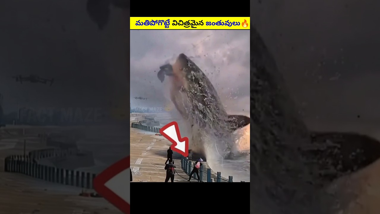 Top 2 Amazing Animals to Watch 🐾