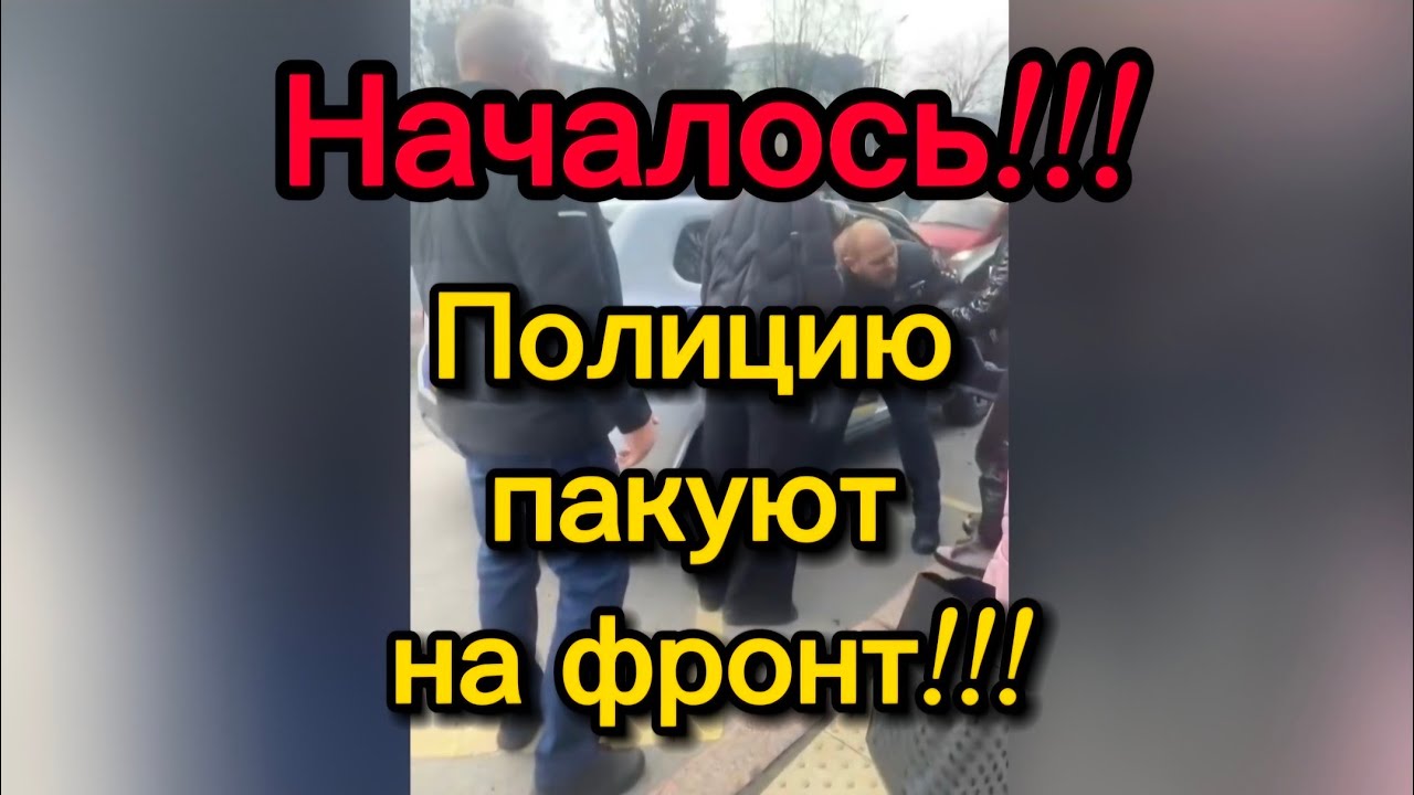 Украина: Вся страна на фронте! 🇺🇦