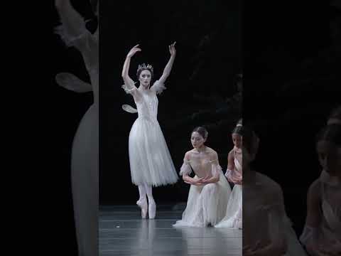 Giselle (Marianela NĂșñez as Queen Myrtha) #Giselle #DanceOfTheWilis #Ballet #RoyalBalletAndOpera