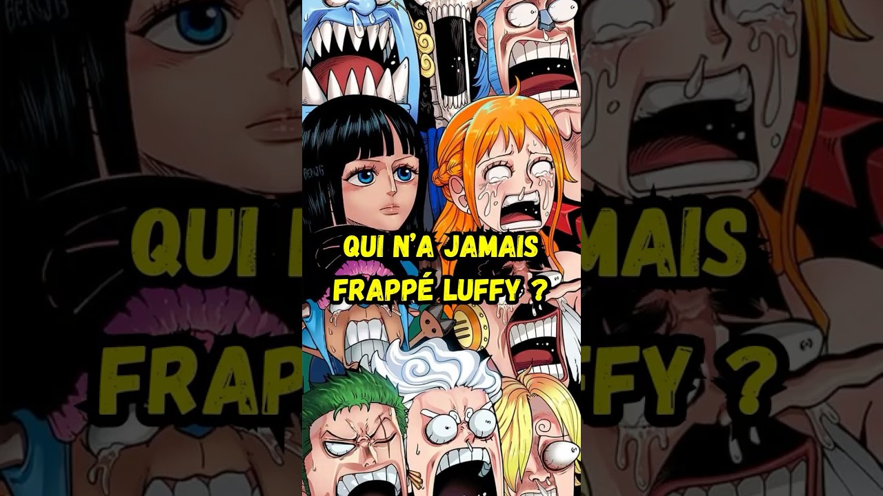Qui n'a jamais frappé Luffy dans l'équipage ? One Piece #anime #manga #animé #onepiece #luffy #zoro