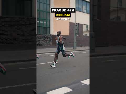 Fight for 🥇🥈 2:06:26 Sisay LEMMA | Prague 42K