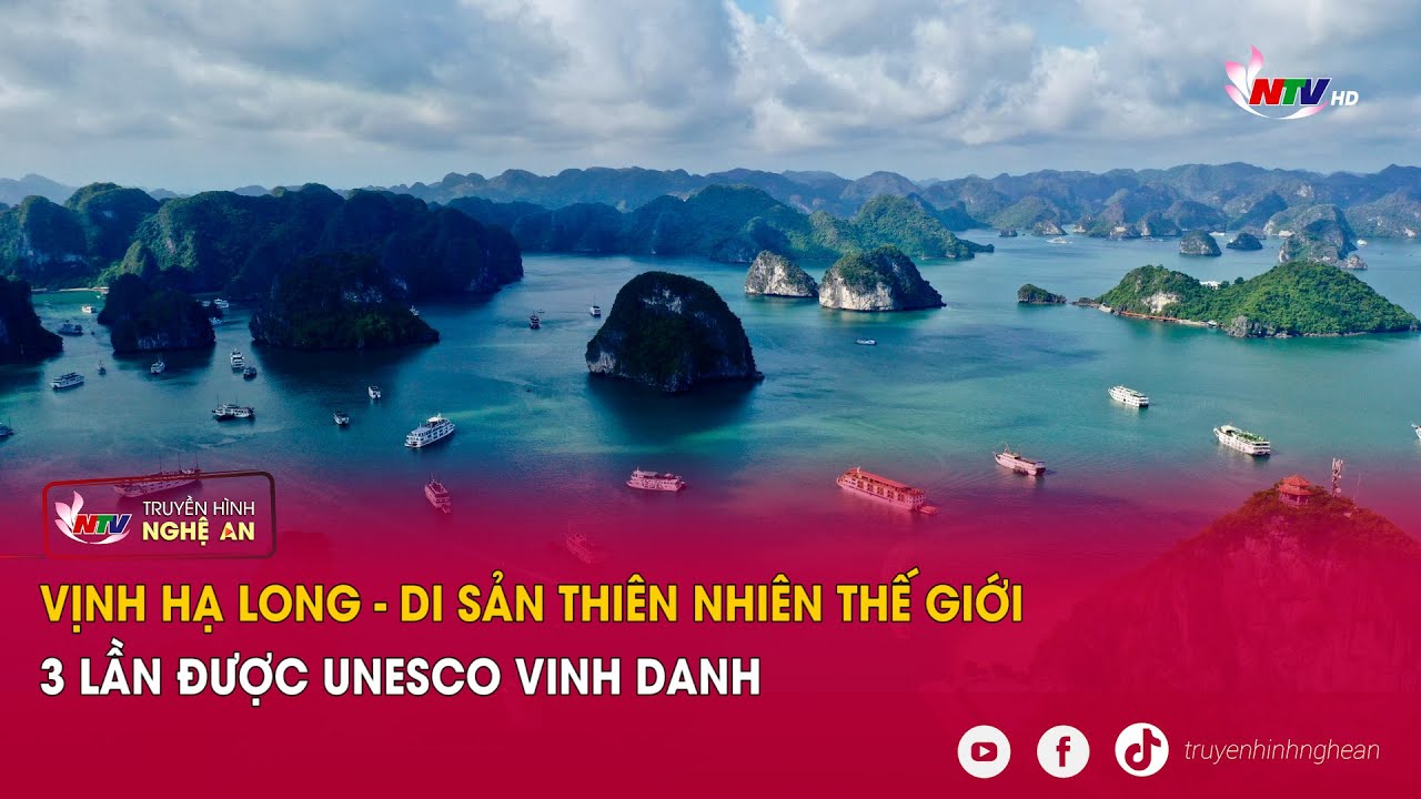 Khám Phá Vịnh Hạ Long: Di Sản Thiên Nhiên Được UNESCO Công Nhận 3 Lần 🌊