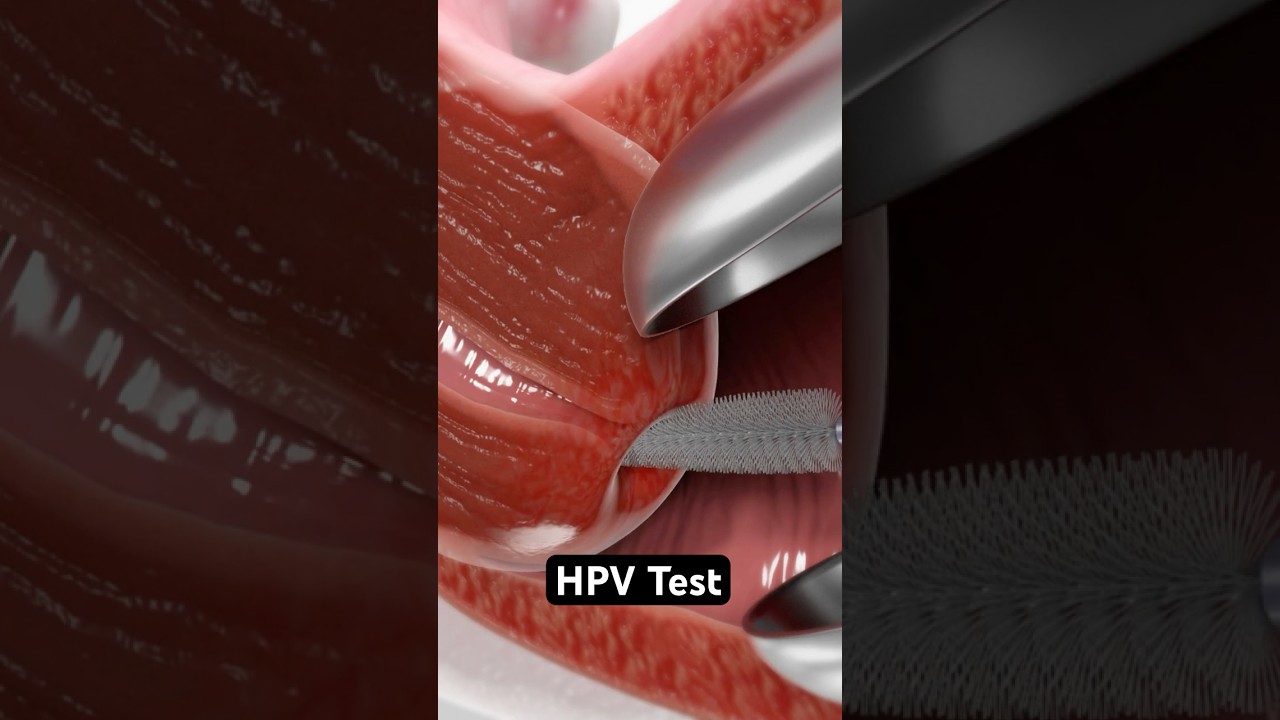 HPV Test Explained with 3D Animation 🩺