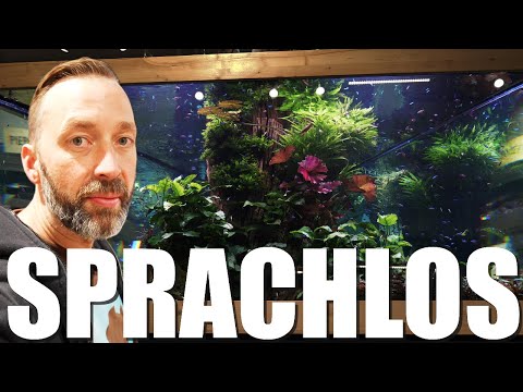 MEGA Entwicklung bei den XXL Aquarien im @koellezoo Stuttgart!