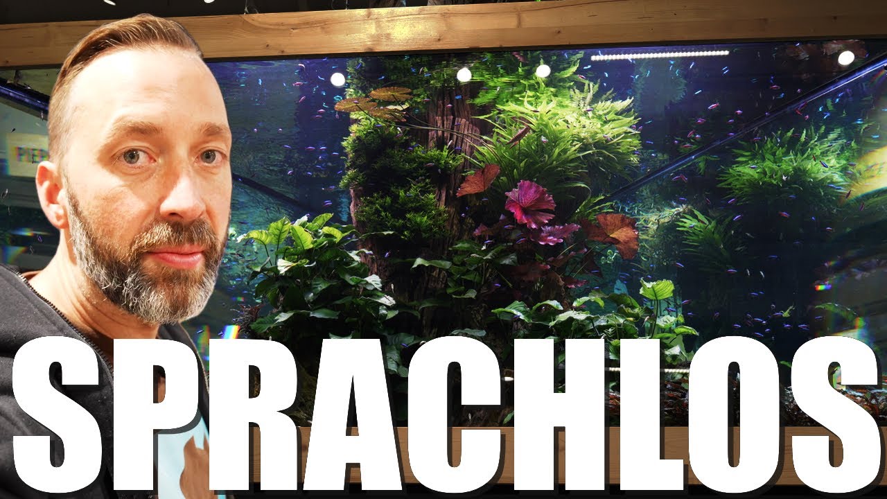 Mega Fortschritte bei den XXL Aquarien im Kölle Zoo Stuttgart! 🐠