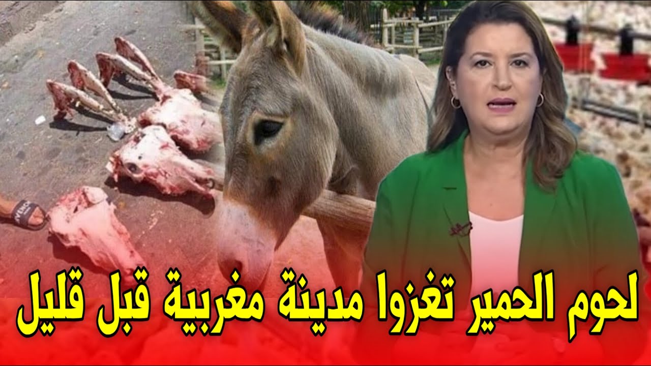 عاجل: انتشار لحوم الحمير في مدينة مغربية تثير الذعر اليوم 🐴