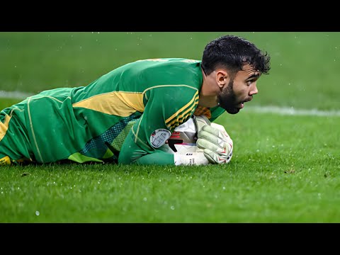 DAVID RAYA INCREDIBLE SAVES 🤯 | Best saves 2024 FHD