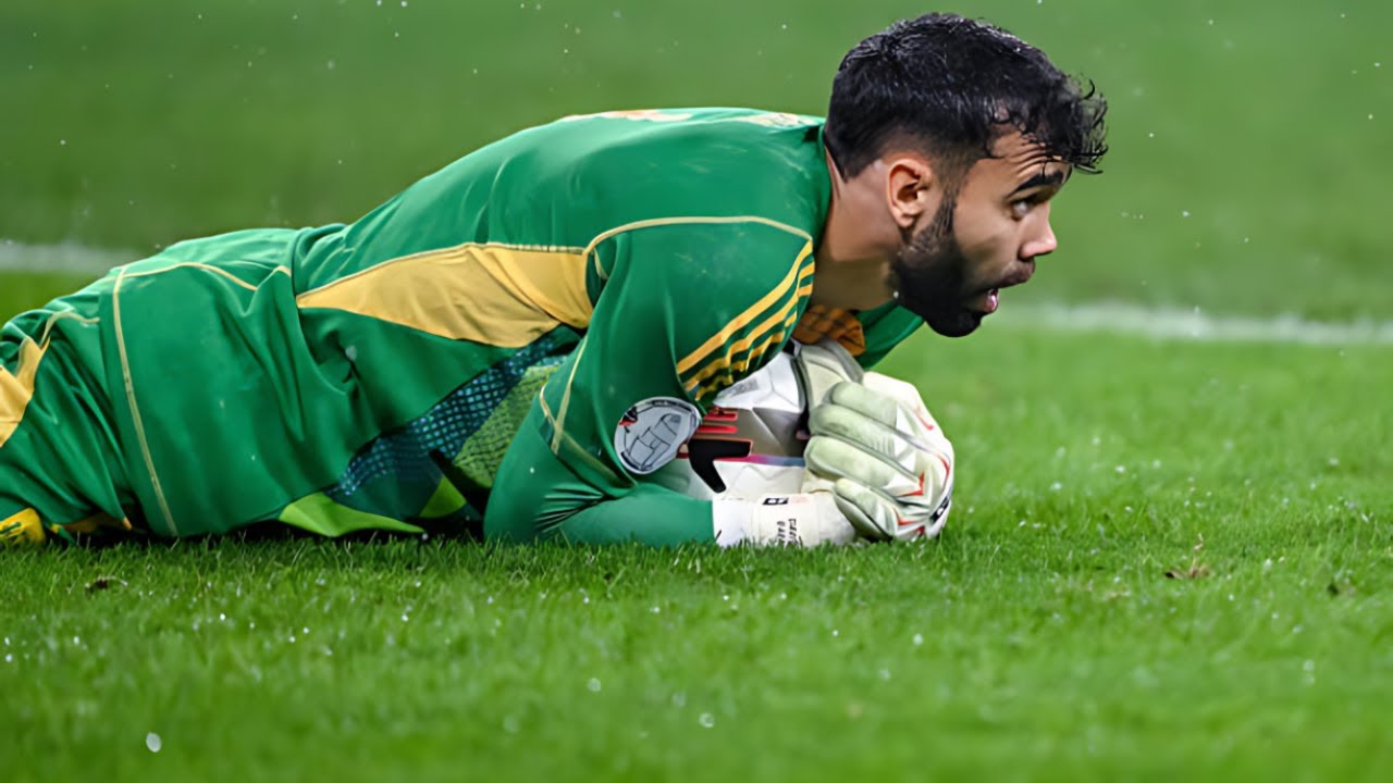 David Raya's Incredible Goalkeeper Saves | Best 2024 Highlights 🤯