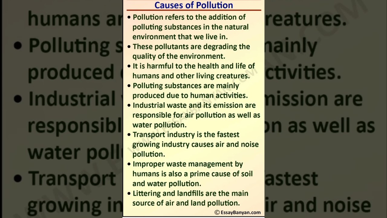 Causes of Pollution: A Short Essay π