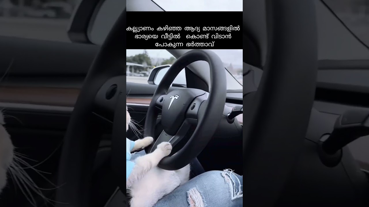 Discover Heartwarming Love Stories After Marriage ❤️