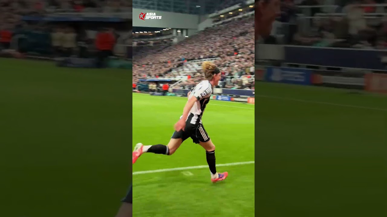 Gordon 90 triệu: Newcastle đòi giá cao quá 🏷️