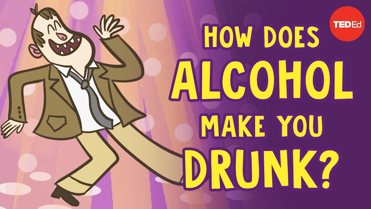 How Alcohol Affects Your Body and Causes Drunkenness 🍺