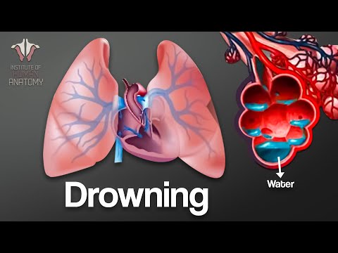 Drowning: What Happens Moment by Moment