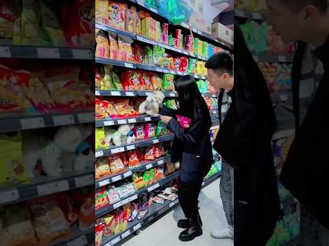 teacup dog breeds / teacup puppies 🐕 mini wood toy art / hand craft #shorts #dog #toys #cute #puppy