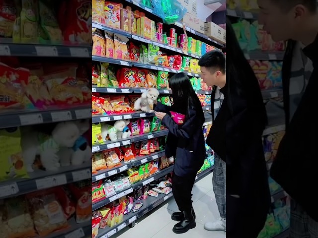 Adorable Teacup Dog Breeds & Miniature Puppy Toy Crafts ๐ถ