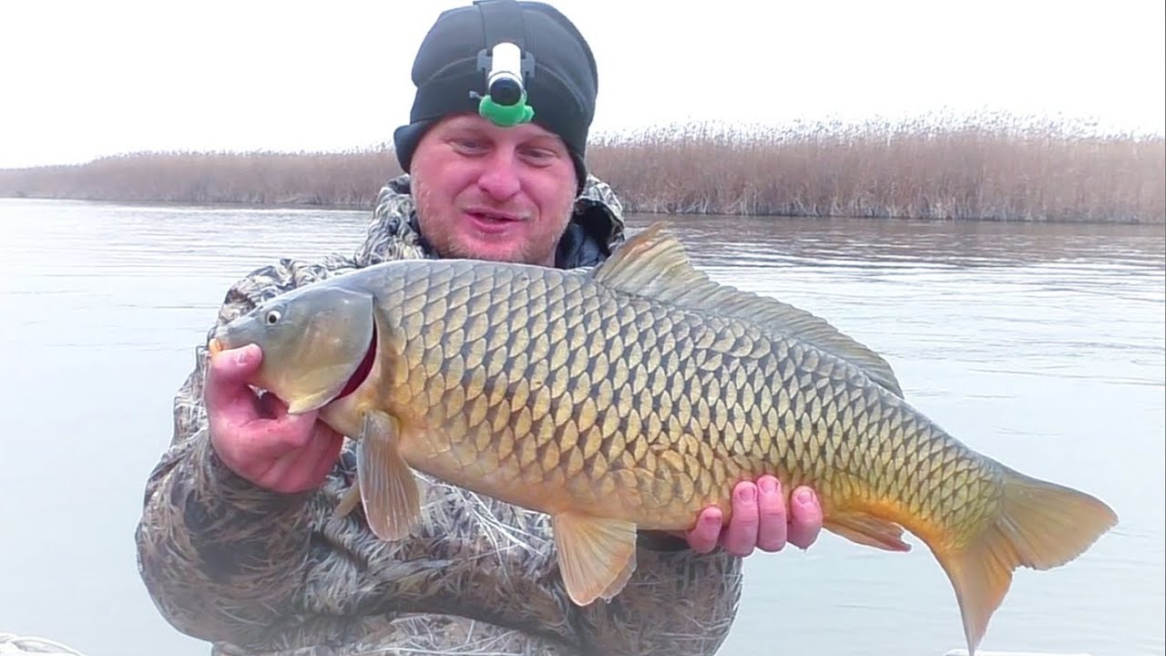 Зимняя рыбалка на сазана с женой 🎣