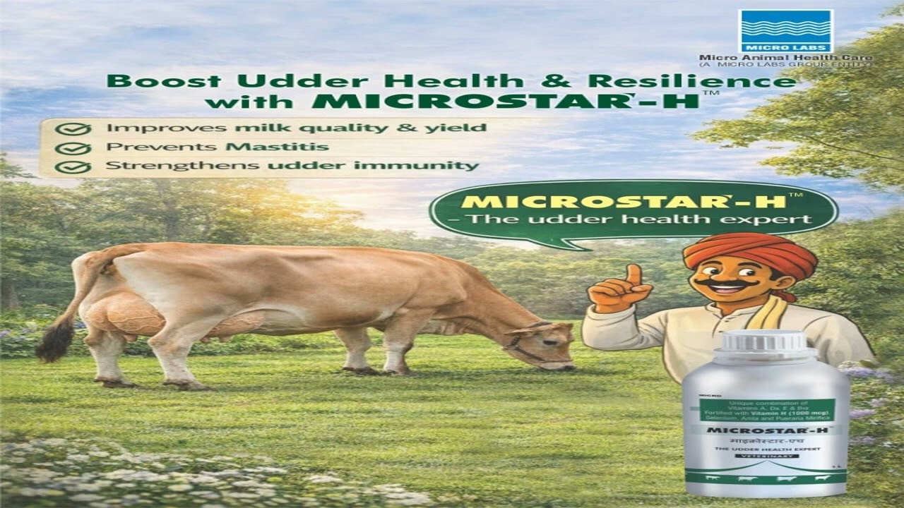 Microstar - H Overview