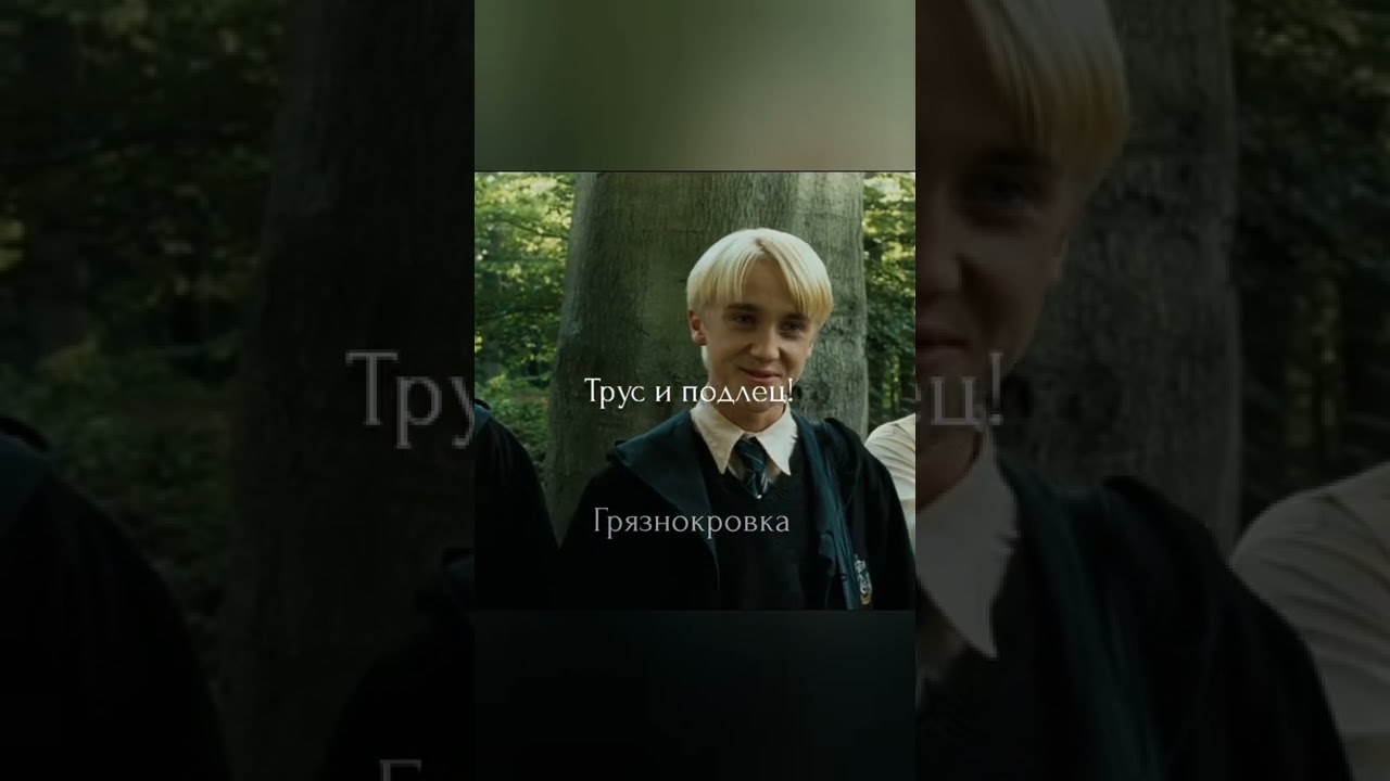 Гарри Поттер: Предатели и Лжецы 🧙‍♂️