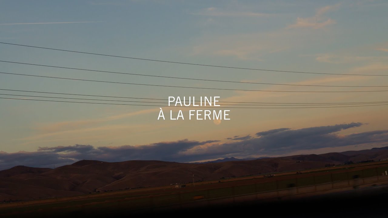 Philippe B - Pauline à la ferme 🎶 | Official Audio & New Album 'Nouvelle administration'