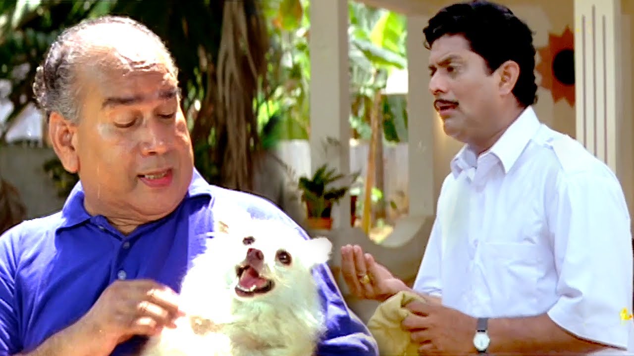 ജഗതി ചേട്ടന്റെ ഹാസ്യപൂർണ്ണ പഴയ കോമഡി സീൻ 🎭