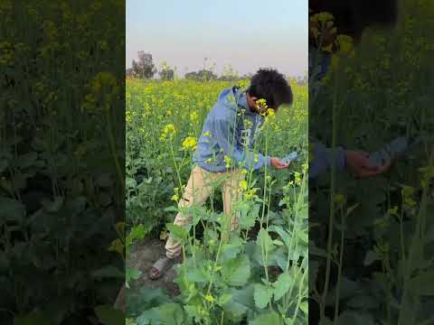 #shorts Mobile Camera Cinematic Video | Mobile Se Cinematic Video Kaise Banaye #cinematography