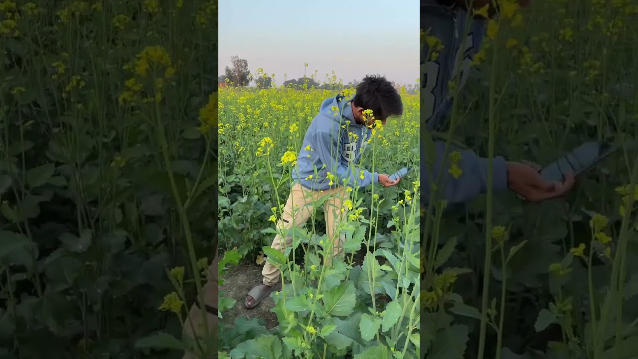 Mobile Camera Cinematic Video Tips 🎥