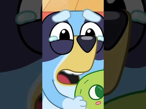 Serious please face 💙 #shorts | Bluey