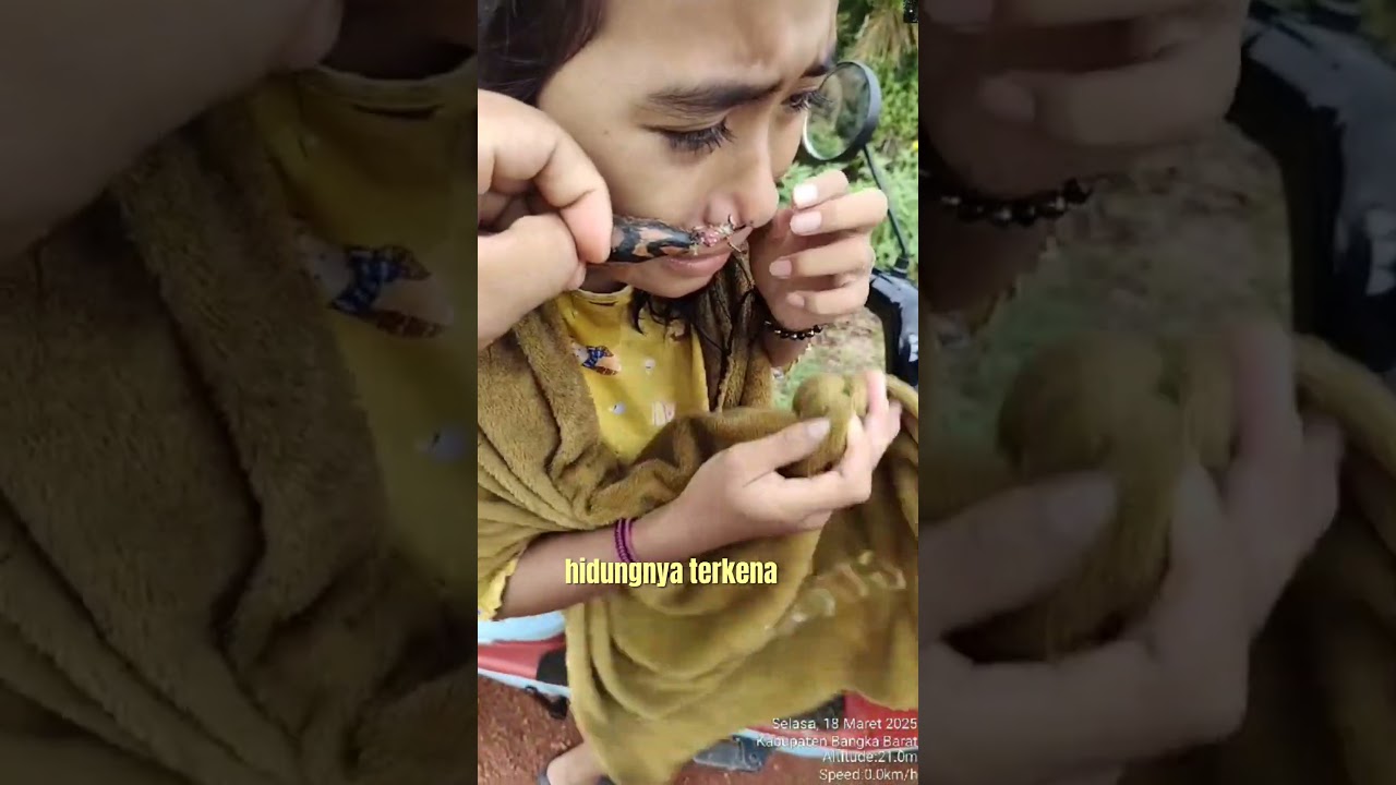 Mancing Cewek Cantik, Bukan Ikan 🎣