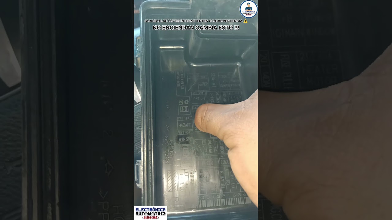 ¿Cuál es el fusible de las luces intermitentes? ⚡
