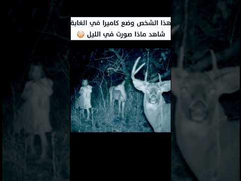 اشياء صورتها الكامرة في الغابات ليلآ .. 🌴📷👾