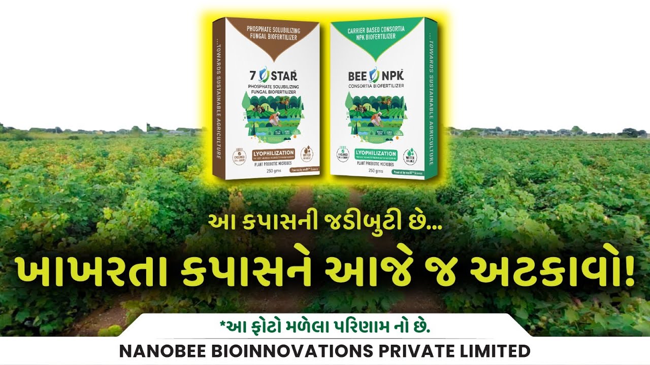 7Star & BEE-NPK Boost Cotton Growth 🌱