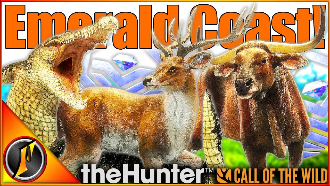 Diamond Rusa Deer & More on Emerald Coast 🦌