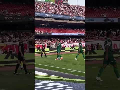 Gol de Flaco López para o Palmeiras contra o São Paulo