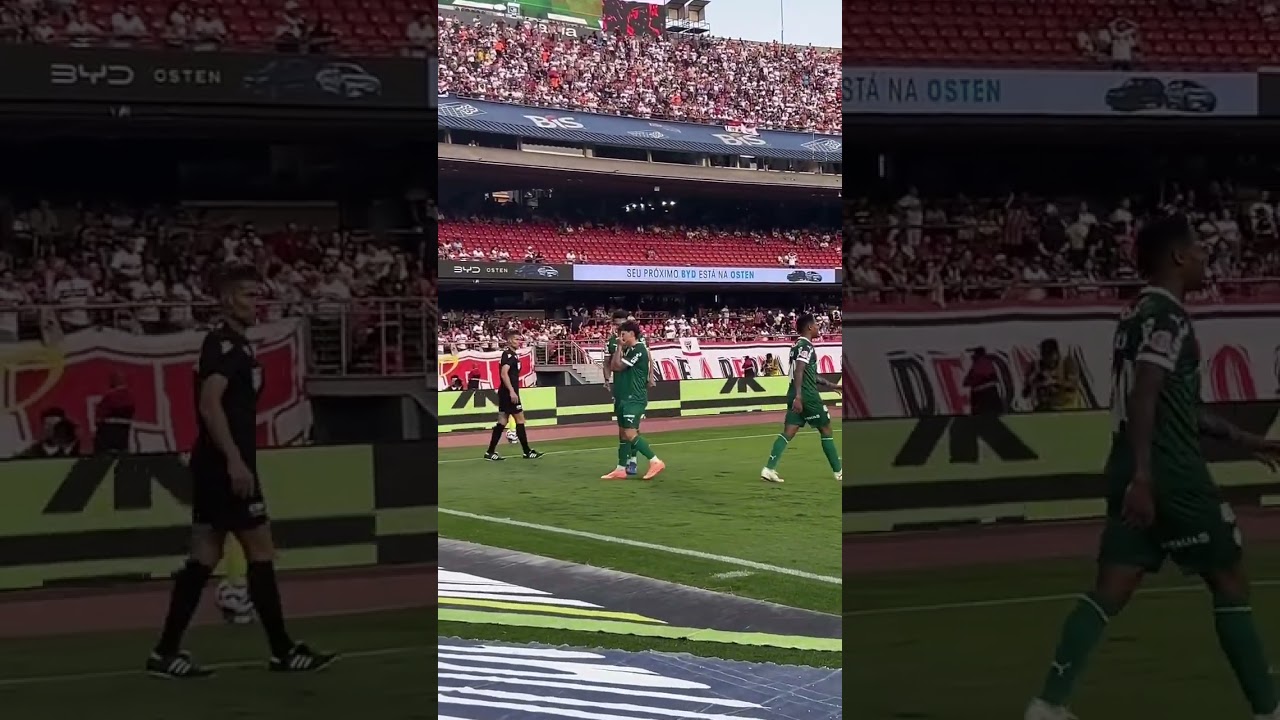 Gol de Flaco López garante vitória do Palmeiras contra o São Paulo ⚽