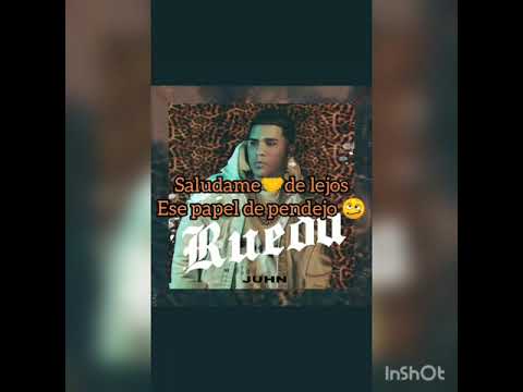 Rueda Juhn para Estados de WhatsApp