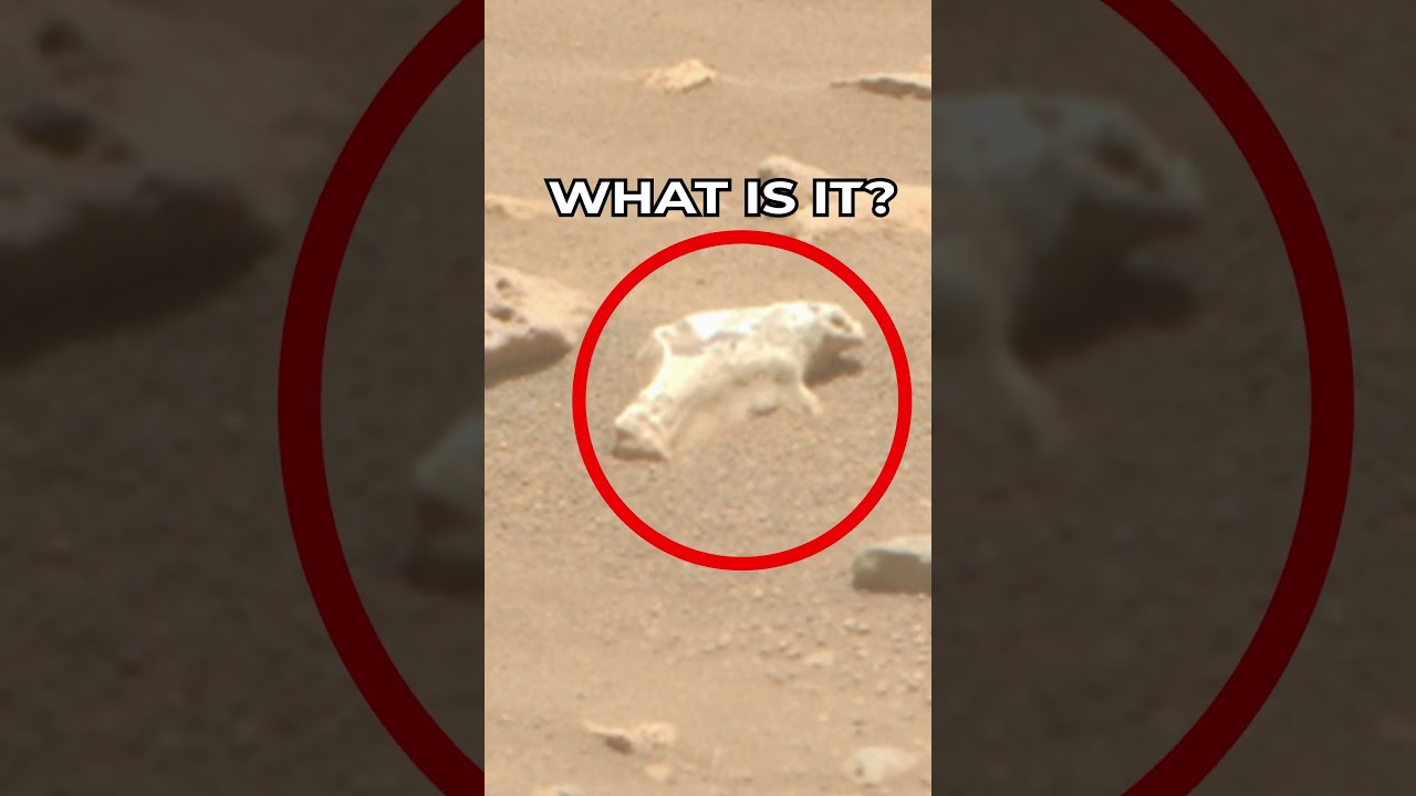 Mars Rover Perseverance Sol 914 Image 📸