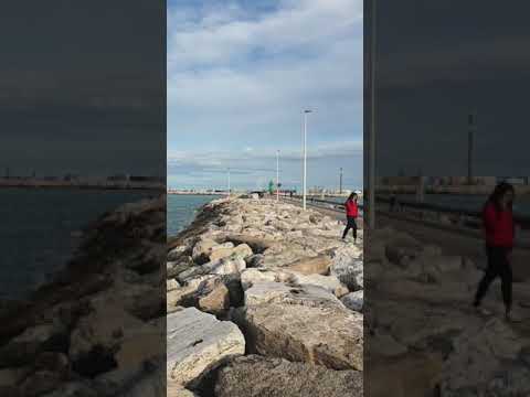 Porto di Civitanova Marche