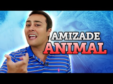 Amizade Animal - Prof. Paulo Jubilut