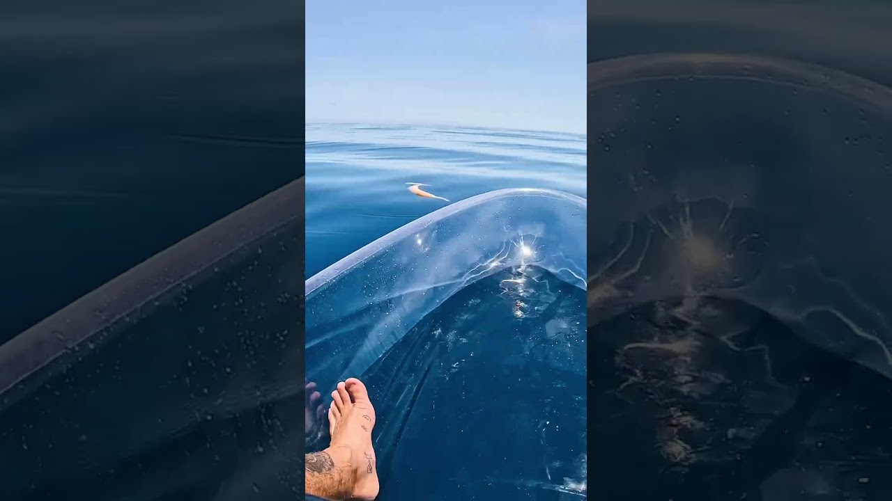 Transparent Kayak Experience in Deep Water