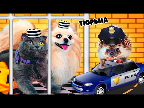 ПОБЕГ из СЛОЖНОЙ ТЮРЬМЫ ЧЕЛЛЕНДЖ | КТО ПОСЛЕДНИЙ вылезет из ТЮРЬМЫ | ЗАПЕРЛИ КОШКУ на 24 часа