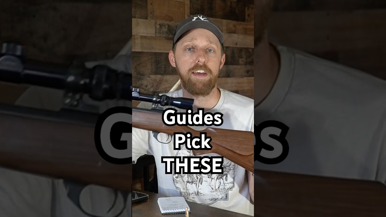 Top 3 Cartridges for Elk Hunting According to Guides 🦌