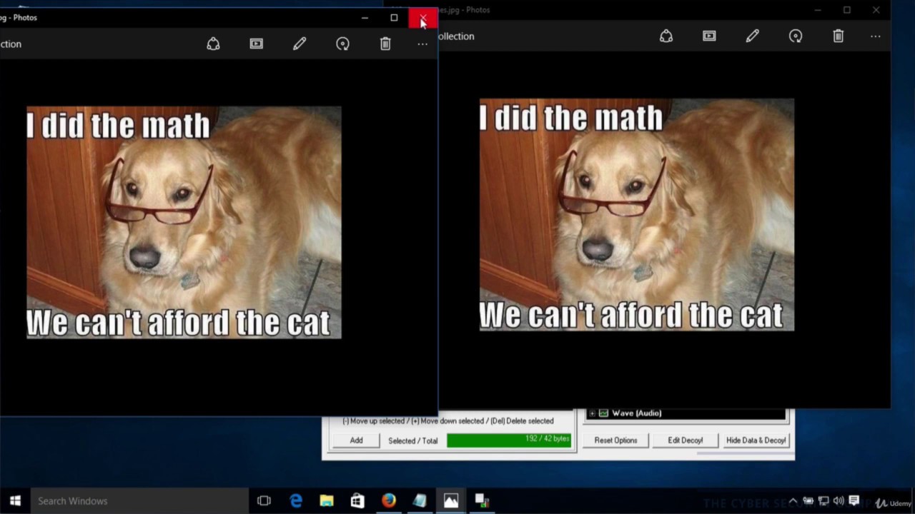 Master Cyber Security: Steganography & Essential Books for Protection 🔒
