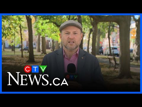 'We need more voices at city hall:' Transition Montreal leader Craig Sauvé wants less polarization