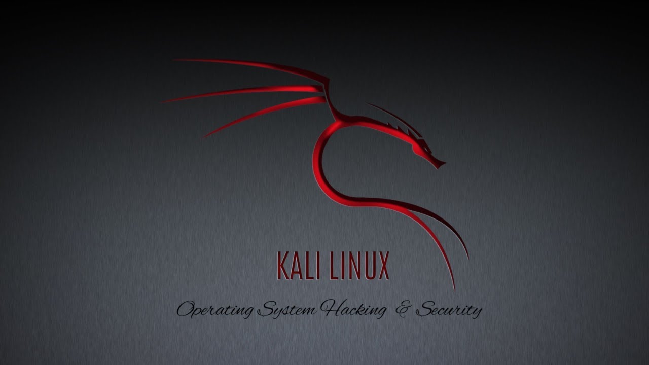 How To Create a Kali Linux Bootable USB with Persistence 2