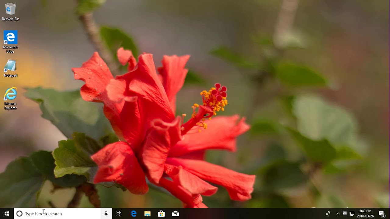 Enable or Disable NTFS Encryption in Windows 🖥️