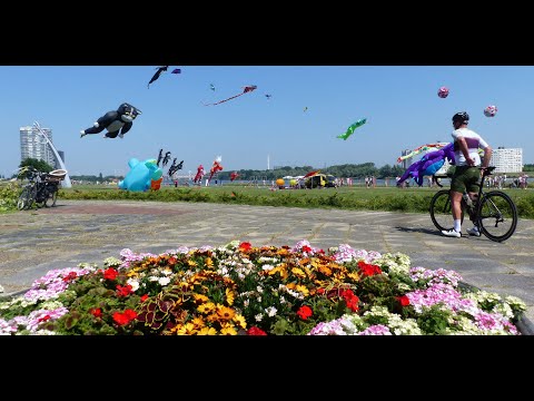 Botlek TV - Grote vliegers, kleine vliegers en opvliegers in Spijkenisse / Nissewaard 2023