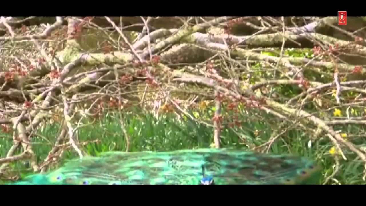 Chintpurni Maa Devi Bhajan by Noorjolly | Full HD Spiritual Song ✨