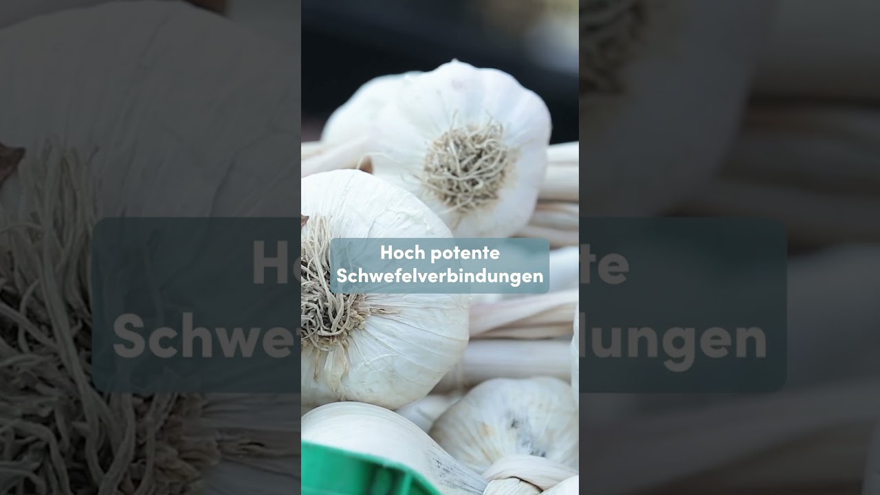 Top Lebensmittel für Krebsvorsorge 🥗