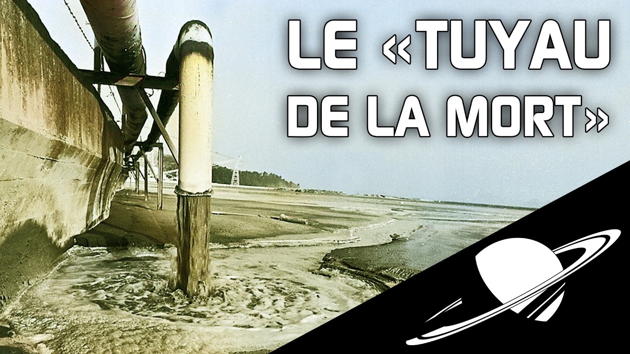 La Tragédie de Minamata : Un Silence Mortel 🌊 - Profitez Jusqu'à 44% de Réduction sur Displate