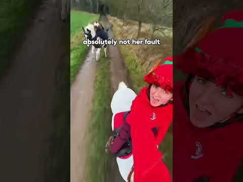 I’m a master equestrian#funny #funnyvideo #fouryou #horses #funnypet #pets